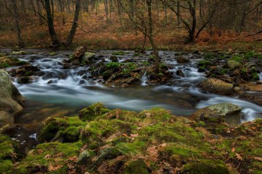 Garganta de Pedro Chate. Jaraiz de la Vera yakınlarındaki manzara. Caceres. Extremadura. İspanya.
