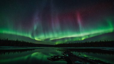 Aurora Riverside Kampı, Kuzey vahşi doğada uyum.