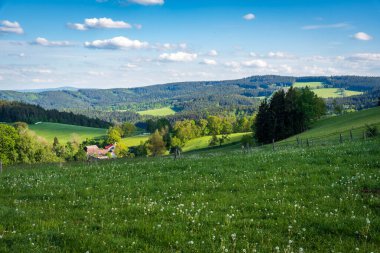Hradlovy most, also known as the Rechle bridge, near Modrava in the Sumava National Park, Czech Republic