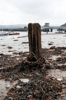 Kayalık kıyılarda yosun ve zincirli eski ahşap direkler, arka planda liman