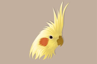 Gerçekçi stil kakadunun el çizimi.