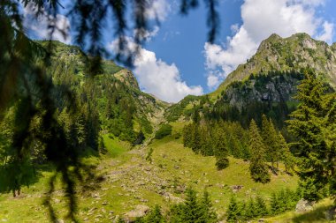 Parlak mavi gökyüzünün altında yemyeşil dağlar
