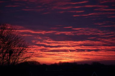 Ağaçların ve ufkun üzerinde renkli günbatımı gökyüzü