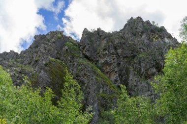 Yeşil ağaçlarla çevrili yüksek kayalıklar.