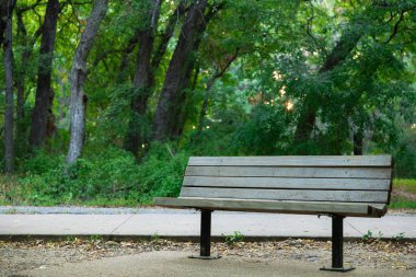 Bir park veya orman bölgesinde ahşap bank