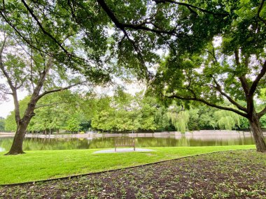 Gölün kenarında ahşap bir bank olan sakin bir park sahnesi