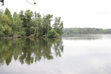 Sakin göl ağaçları ve bulutlu gökyüzünü yansıtıyor