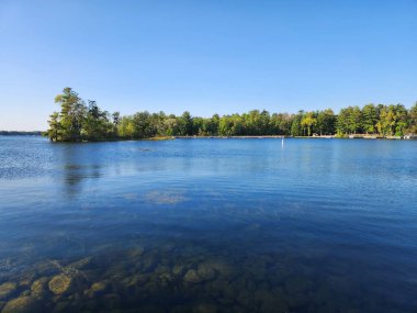 Ormanlı Kıyısı Olan Açık Mavi Göl Suyu
