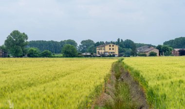 Geniş yeşil ve tepeli tipik bir İtalyan manzarası.