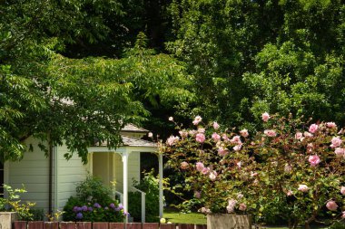 Çiçeklerle çevrili bir ev