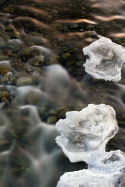 Sakin su yüzeyinde yüzen buzdağları