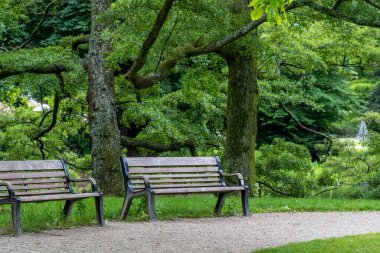 Yeşil ağaçların altında iki ahşap bank
