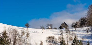 Dağılmış ağaçları ve mavi gökyüzünün altında küçük bir evi olan karlı yamaçta..