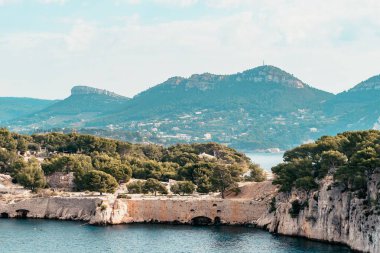 Kayalık uçurumlar ve sudaki yemyeşil yemyeşil manzaralı kıyı manzarası