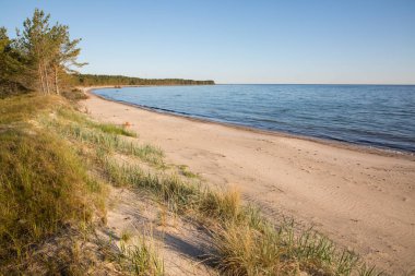 Letonya 'daki baltık deniz plajı, Baltık denizi