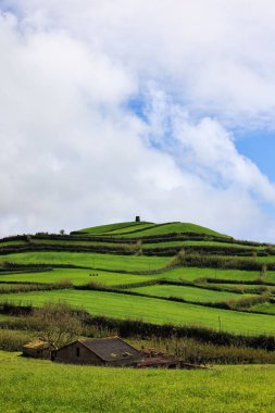 Gündüz vakti yeşil arazinin güzel manzarası.