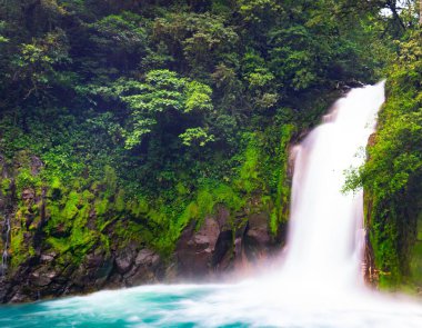 Gündüz vakti ormandaki şelalenin güzel manzarası.
