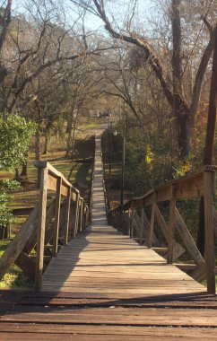 Orman bölgesindeki ağaçların arasından geçen tahta köprü.