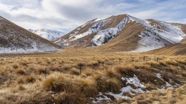 Bulutlu gökyüzünün altında karlı dağlarla kaplı vadi tabanını kaplayan altın dişli çim..