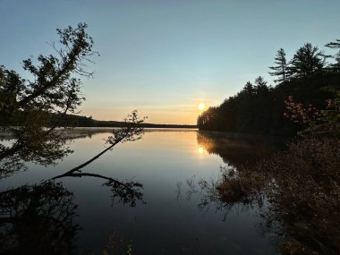 Huzurlu orman gölü üzerinde yükselen altın güneş, siluetli ağaçlar, sakin suya yansıyan yansımalar..