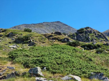 Dağ yamacını kaplayan yeşil çalılıklar, mavi gökyüzünün altında yükselen kayalık tepeler.