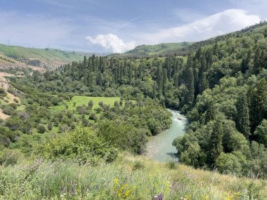 Bereketli yeşil ormanlar ve tepelerle çevrili dolambaçlı nehrin manzarası