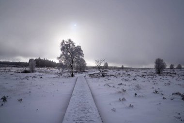 Kar ve ağaçlarla kaplı bir arazide kış manzarası
