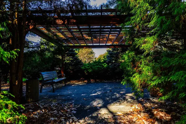 Ahşap bir bankın yer aldığı bir park manzarası.