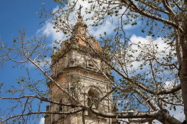Mavi gökyüzünün altındaki dallarla çevrili tarihi bina kulesinin dikey görüntüsü