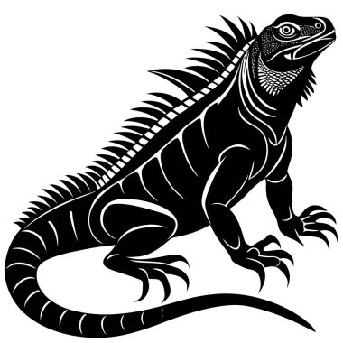 Sivri uçlu siyah-beyaz iguana çizimi