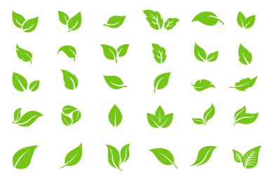 Yeşil yaprak çizimleri beyaz arkaplanda ızgara deseninde düzenlenmiştir