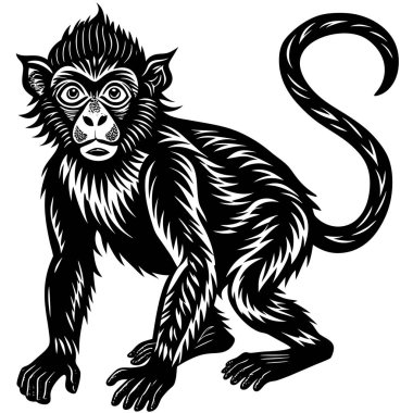 siyah ve beyaz maymun çizimi