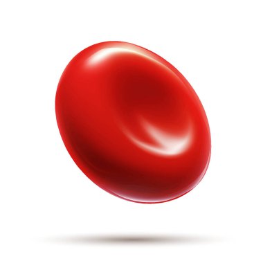 Vektör Gerçekçi Kan Hücresi vektör çizimi