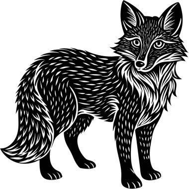 Çalı kuyruklu dört ayaklı bir tilkinin siyah beyaz çizimi