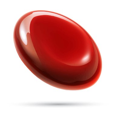 Vektör Gerçekçi Kan Hücresi Çizimi 