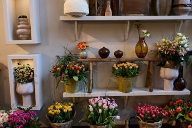 Dekoratif saksı ve vazolarda çeşitli çiçek düzenlemelerinin yer aldığı duvar görüntüsü