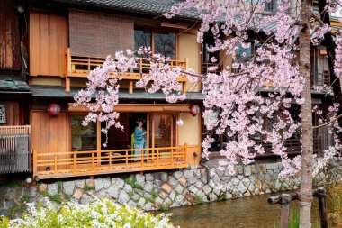 Woman standing near cherry blossom trees