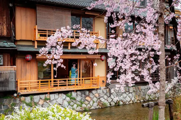 Woman standing near cherry blossom trees