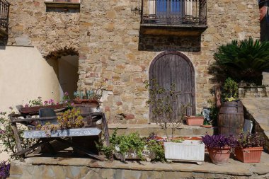 Renkli saksı ve bitkilerle çevrili ahşap kapılı taştan bir ev.