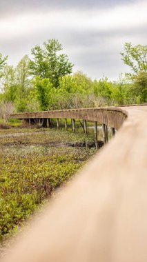 Gündüz vakti nehirde tahta köprü.