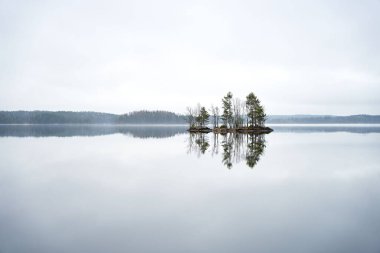 Sakin su ve ağaçlarla çevrili küçük bir ada.
