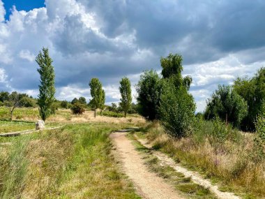 Pathway through grassy field with trees and clouds