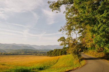 Ağaçlarla, dağlarla ve mavi gökyüzüyle sonbahar manzarası
