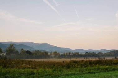 Ağaçlarla ve mavi gökyüzüyle güzel bir sonbahar manzarası