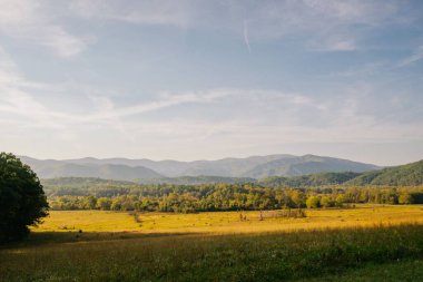 Ağaçlarla ve mavi gökyüzüyle güzel bir sonbahar manzarası