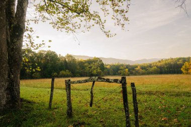 Dağların ve yeşil ağaçların güzel bir sonbahar çekimi.