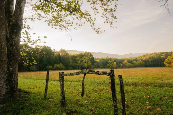 Dağların ve yeşil ağaçların güzel bir sonbahar çekimi.