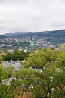 Trondheim Norveç Şehri Nidaros Katedrali Yeşil Peyzaj