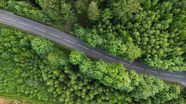 Yoğun yeşil ormanın içindeki dolambaçlı yolun havadan görünüşü