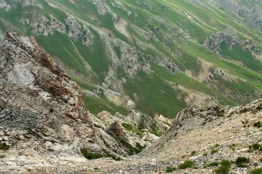 Dik yeşil yamaçlar ve vadilerden oluşan Rocky Dağı manzarası